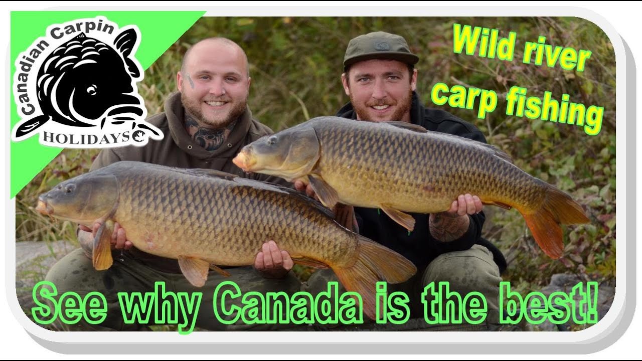 Angler's Carp fishing Video At Canadian Carpin Holidays 