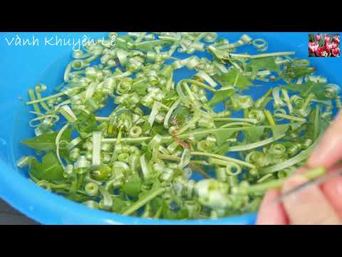 Video: Cách Làm Salad Bồ Công Anh Mùa Xuân