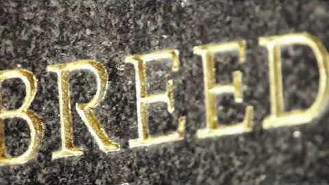 Haskell Invitational — Welcome to the Breeders