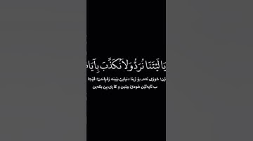 #سعد_الغامدي #سورة_الانعام