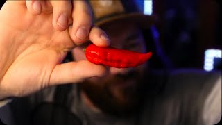 🌶Giant Ghost Pepper Challenge🌶