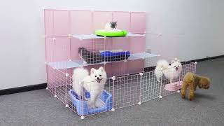 DIY Dog House To Welcome The New Year 2024 - How to make house for Pomeranian Poodle puppy, cute cat by MR PET FAMILY 3,760 views 3 months ago 12 minutes, 2 seconds