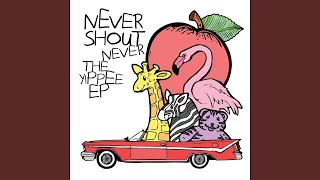 Video thumbnail of "Never Shout Never - Heregoesnothin"