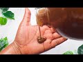 TUTORIAL: HOW TO MAKE AN EFFECTIVE SKIN BRIGHTENING LIQUID BLACK SOAP| BLACK SOAP QUEEN