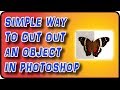 Easy Way to Cut Out an Objects Taken on a Light Background in Photoshop