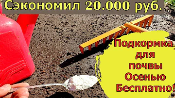 2 Ложки и лейку воды земля как новая, посыпте этим землю осенью для обильного  урожая.