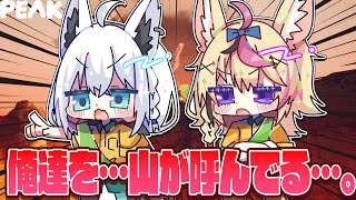 白上フブキの配信のサムネイル画像