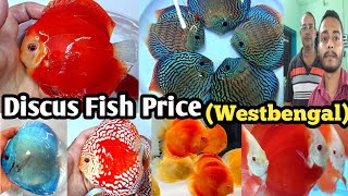 Imported Discus Fish Price in Westbengal | Discus Fish Tank mates | Rishra