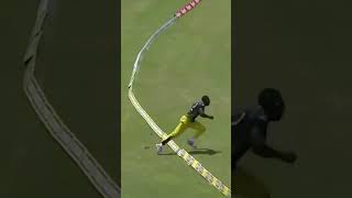 Stunning fielding