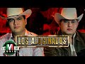 Los Nuevos Federales - Los Alucinados (Full Video)