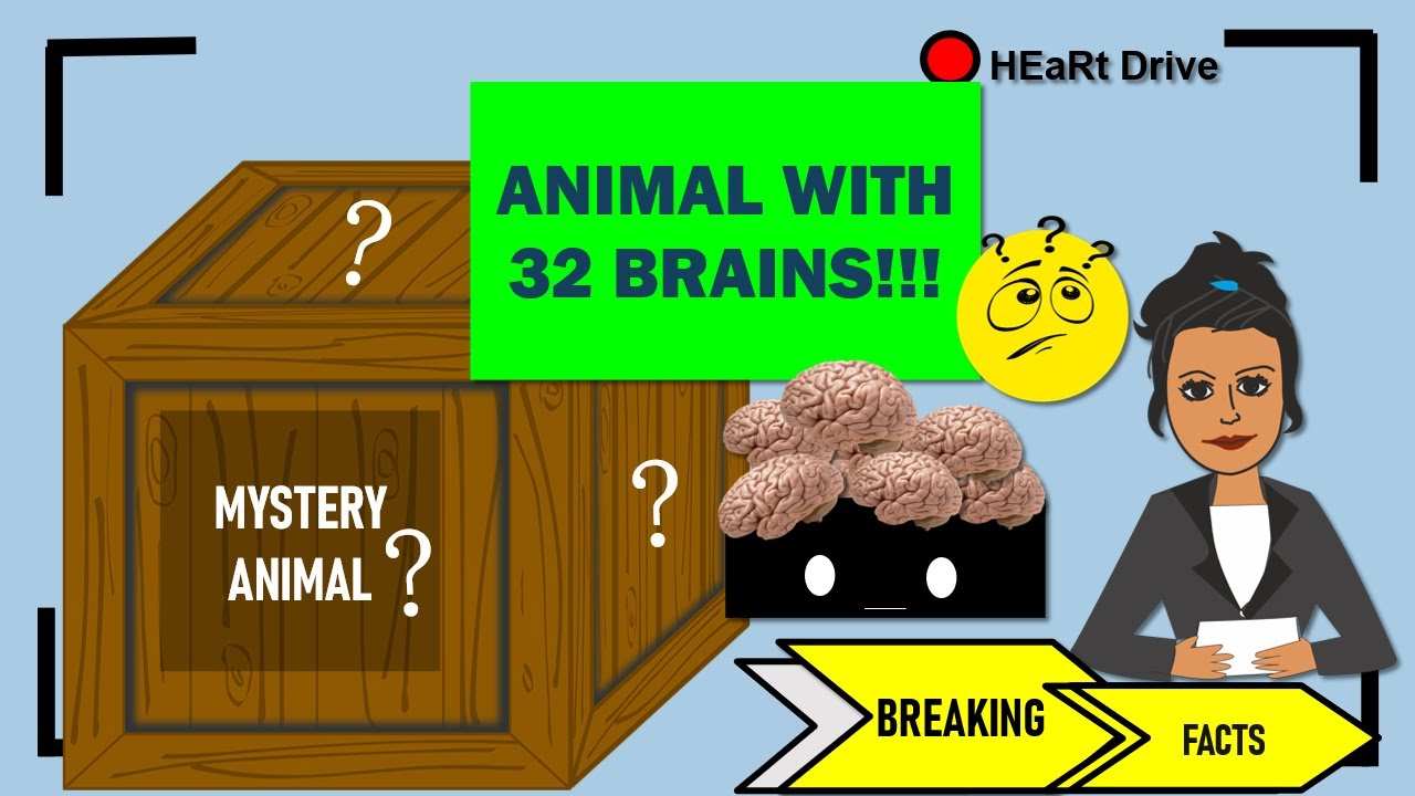 Animal with 32 brains Amazing and weird Breaking facts HEaRt