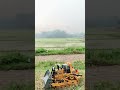 #excavator #buldozer #dumptruck #truck #mainananak #rcexcavator #mainanexcavator #edukasianak