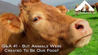 Q&A #1 - But Animals Were Created To Be Our Food! Q&A #1 - But Animals Were Created To Be Our Food!