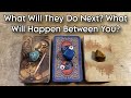 🥸 What Will They Do Next? What Will Happen Between You? Pick A Card Love Reading