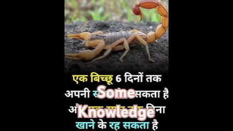 #fantasy #shortvideo #nature #amazing #animals #learning