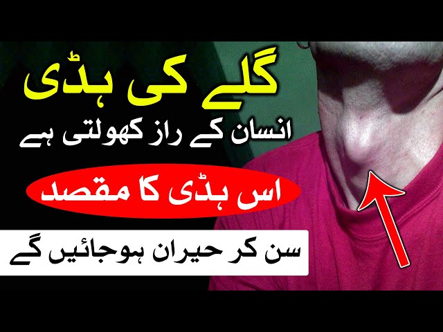 Gale Ki Hadi Se Insan K Raaz | Throat | Face Reading | ilm e Jafar | Mehrban Ali | Astrology class=