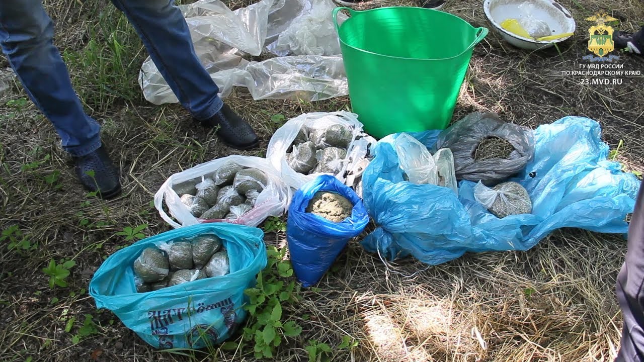 В Курганинском районе полицейские задержали подозреваемого в незаконном сбыте наркотиков мвд структура