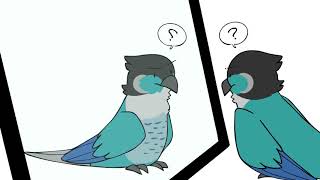 I've been told my bird Obi looks just like Ari. I'm sure they'd be great  friends! : r/jaidenanimations