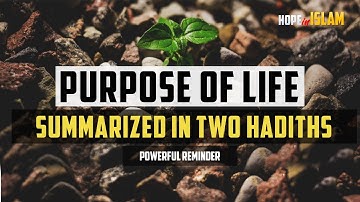 Purpose of Life Summarized in Two HADITHS (Must Watch) - Abu Bakr Zoud