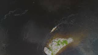 Canoeing the Ottawa River at Lemieux Island