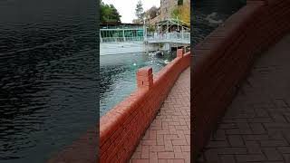 Afyonkarahisar Dinar Su Çıkan