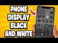 Phone Display Black and White - Fixed