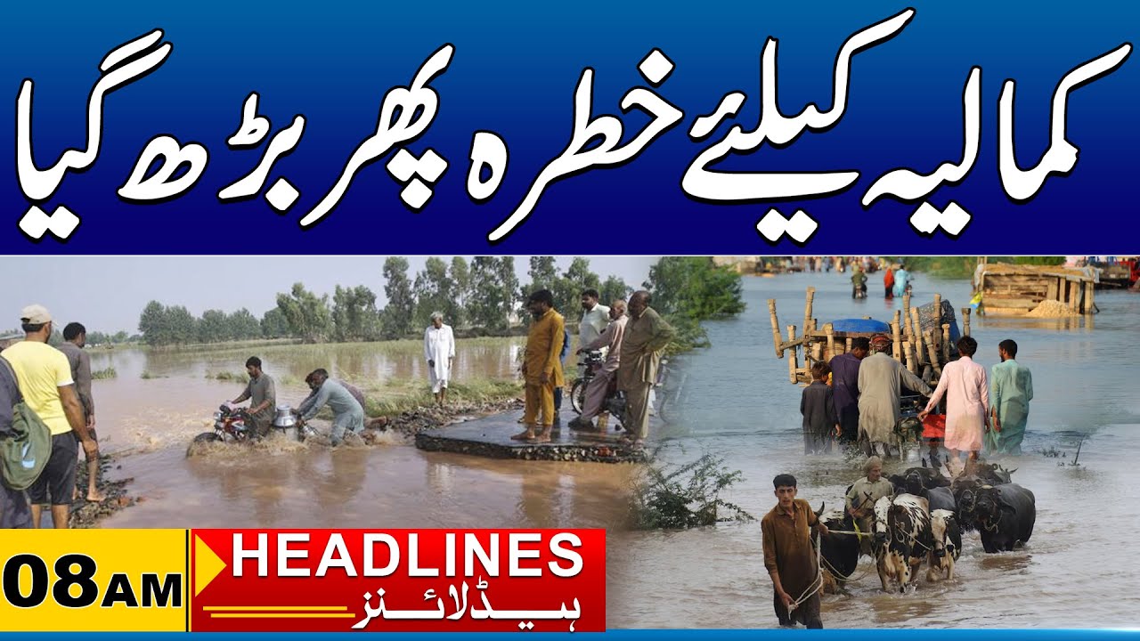 Sad News For Kamalia's Public | 08am News Headlines | 08 Sep 2025 | City 41