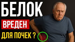 Ведущий Диетолог Рассказал о Лучших Источниках Белка для Здоровья Почек