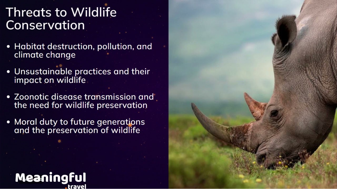 Wildlife Conservation Volunteering Guide (Guidebook)