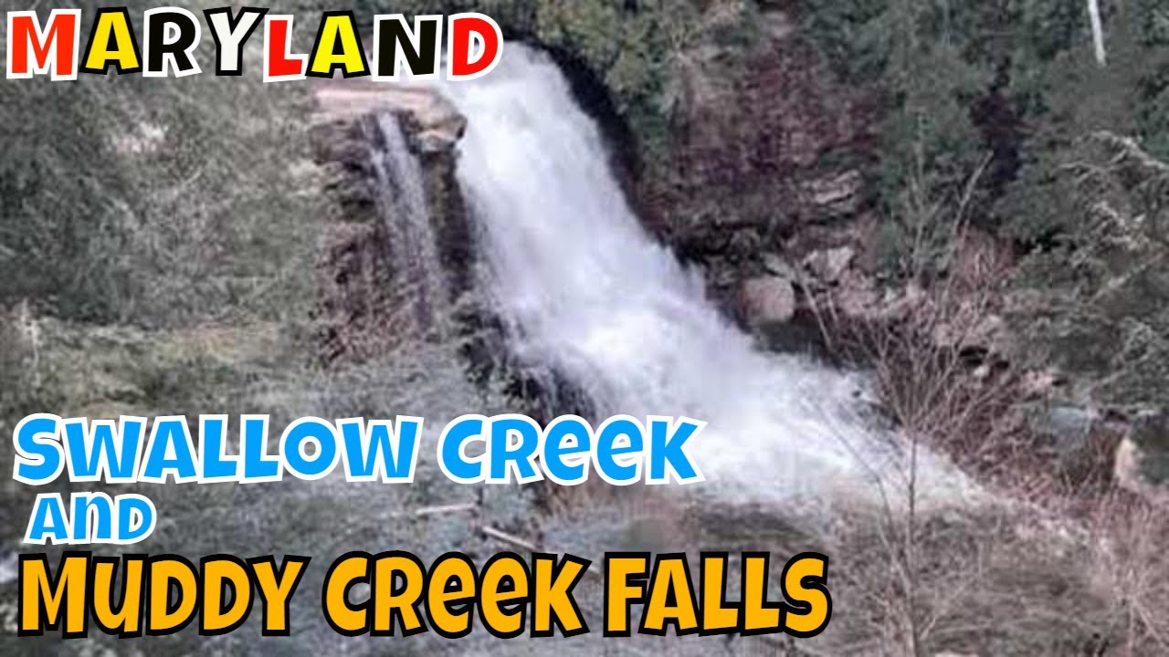 Swallow Creek and Muddy Creek Falls