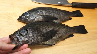 メバルの煮付けの作り方（煮魚の臭みを取る下処理方法）