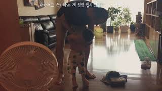 -18) 20190904 수ㅡ서울대병원 안과검진