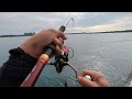 本日超最速浜名湖タコエギ情報📢7月12日(土曜日)異常事態かも…🐙