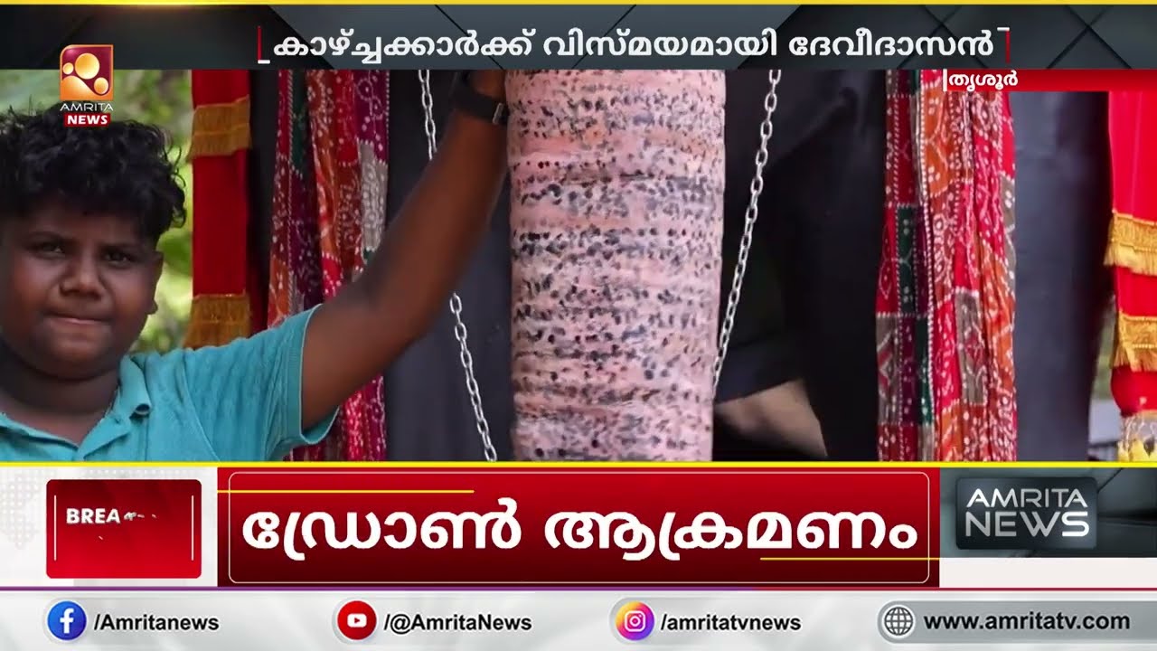 എട്ടരയടി പൊക്കവും, പത്തടി നീളവുമുള്ള  ഈ ആനയുടെ അടുത്ത് ധൈര്യത്തോടെ ആർക്കും ചെല്ലാം |  Thrissur