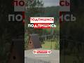 Подпишись на оконщика #иркутск #остеклениедомов #окна