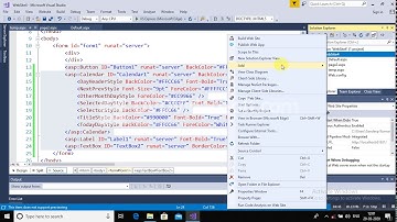 Themes or Skin in ASP NET