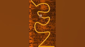 Goldfish Crackers Stopmotion