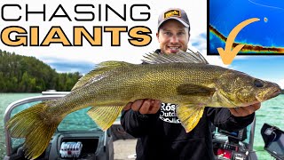 Sharpshooting GIANT Mid-Summer Walleyes with the Garmin LiveScope PLUS - LVS34 | NEW PB!