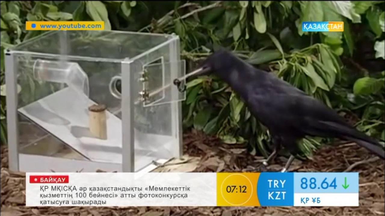 Егде жастағы ерлі-зайыптылардың кездейсоқ жыныстық қатынасқа түсуін көру