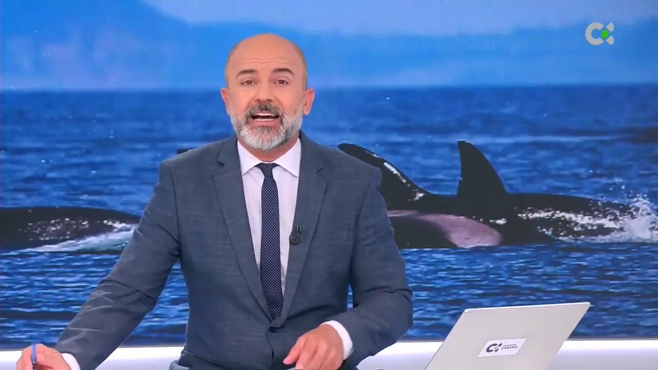 The Orca Mystery: Research in the Strait of Gibraltar