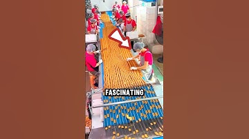 The Satisfying Cookie Factory Process You Must See!#shorts #shortsvideo #viral