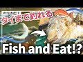 【Japan Travel Video】A Walk on Shinjuku's Streets #05 "Zauo" [JP Narrations + Eng Subs]
