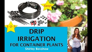 ✅ DRIP IRRIGATION! 🚰 Install a Drip Irrigation System to Container Plants! Shirley Bovshow by Eden Maker by Shirley Bovshow 3,627 views 1 year ago 9 minutes, 46 seconds