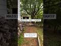 MASSIVE YARD CLEAN UP