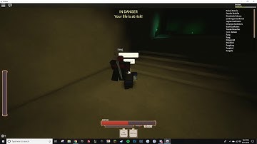 Rogue Lineage hack report