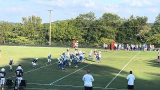 IMG 6629