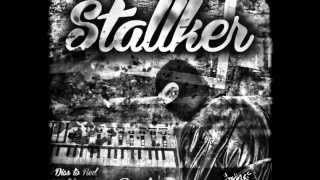 Stallker-Kırmızı panter Resimi