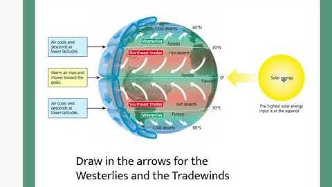AP Environmental Science  4.5 Global Wind Patterns