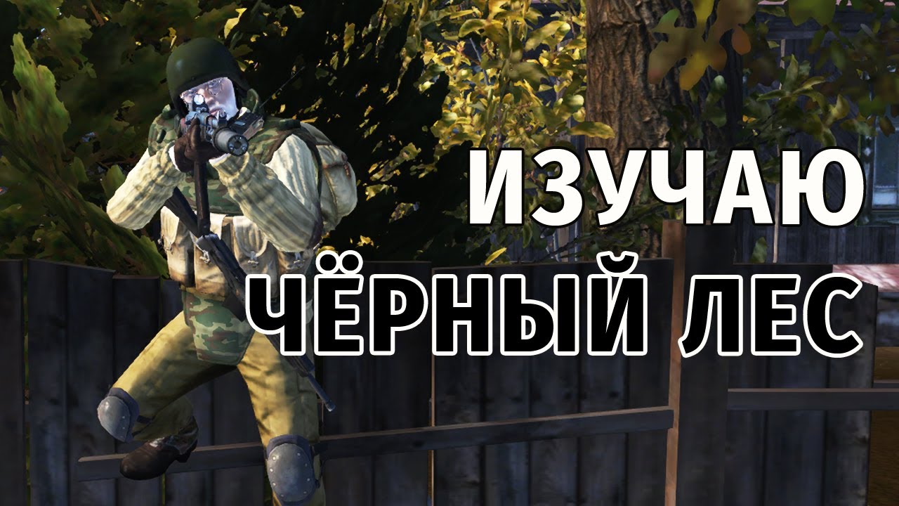 95. Изучаю Чёрный лес. Сталкер Онлайн | Stalker Online | Stay Out. RU2.