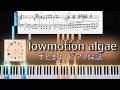 【ピアノソロ】 ずっと真夜中でいいのに。- lowmotion algae(後半)